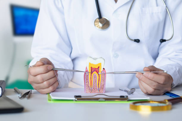 Best Cosmetic Emergency Dentistry in Caledonia, MN